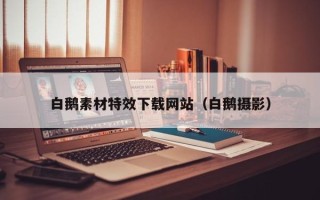 安阳白鹅素材特效下载网站（白鹅摄影）
